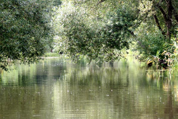 Dahmer Kanal Mecklenburgische Schweiz